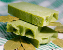 ���� ����������� ���������