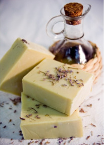 ���� ����������� �����������