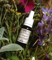 ����� ��� ����� �� ���������