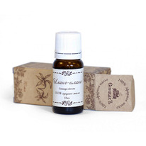 ������� ����� �����-�����