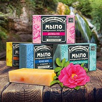 ���� ������ ����