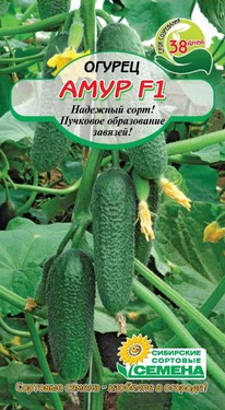 ���� F1 ������ ����