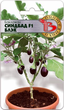 �������� ������� F1 ����