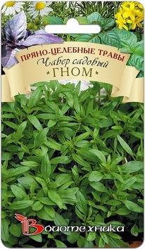 ����� ������� ����