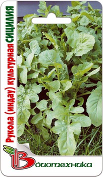 ������ (�����) ���������� �������