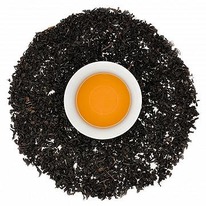 ������ ��� ����� FP ������� ����