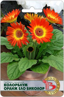 ������� ��������� ��������� ����� ��� �������