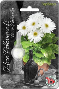 ������� ��������� ���� �������� F1 ���� ���� ��