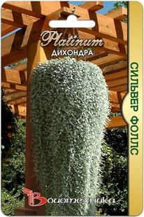 �������� ������� �����