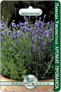 ������� ����������� ������ ��������