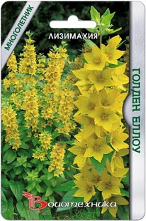 ��������� ������ �����