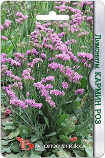 �������� ������ ���