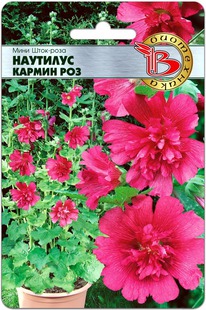 ���� ����-���� �������� ������ ���