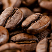 ����� ����� - ���� � ����� 