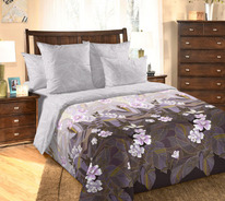 ������� ���������� ����� �� ������� ���������� ������