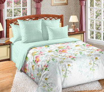 ������� ���������� ����� �� ������� ������