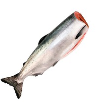 ������� ��� ������ ������ ����