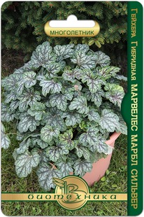 ������� ��������� �������� ����� �������