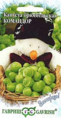 �������� �������.�������