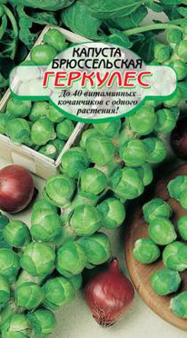 �������� ������������ �������