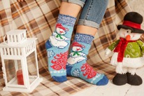 ����� ��������� N6R102-1