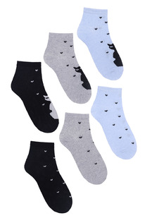 ����� ����� �������