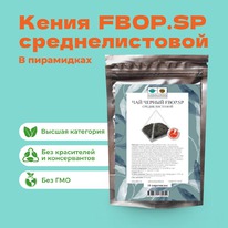 ��� ������ �����. FBOP.SP �������������� � ����������