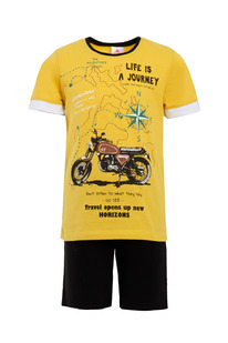 ������ ���� �������