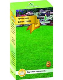 ����-���� 100�� �������� ���������� (����)