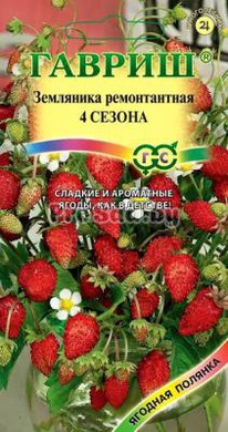 ������ ������ ���������