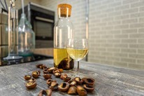 ������ ���������