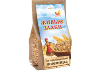 ������ ��������� �����������, 300 �, �/� (�������)