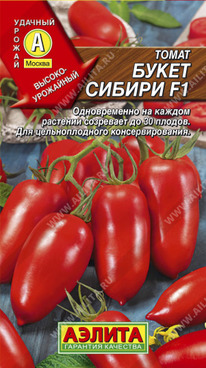 ����� ������ F1 �����