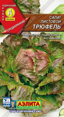 ������� �������� �����