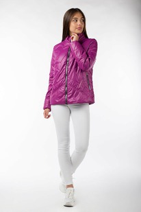 ������ ������������ (�������� 100)