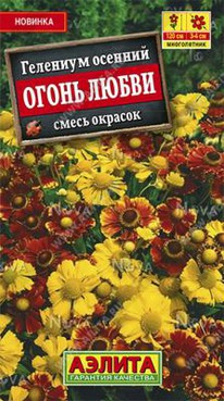 �������� ����� �����, ����� �������