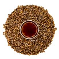 ���� �������� ������ ������