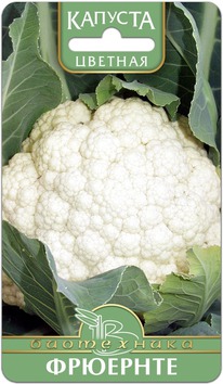 ������� ������� ��������