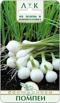 ��� �� ������ � ����-������� ������