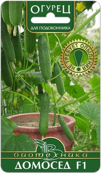 ������ ������� F1