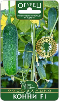 ������ ����� F1