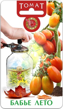 ����� ����� ����