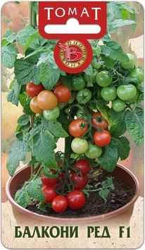 ����� ������������ ������� ��� F1