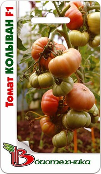 ����� ������� F1