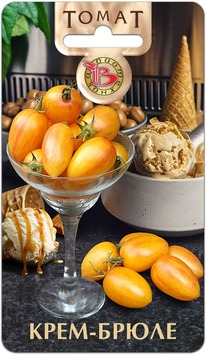 ����� ���� �����