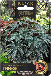 ������� ��������� ������