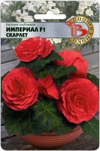 ������� ��������� �������� F1 �������