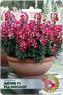 ���������� ����� F1 ��� �������