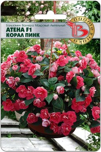 ��������� ������� �������� ��������� ����� F1 ����� ����