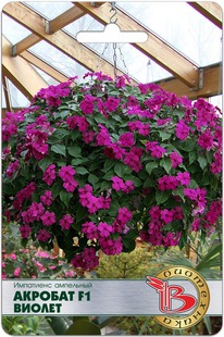 ��������� ��������� �������� F1 ������